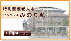 ���ʗ{��V�l�z�[���C���p���X�݂̂艑